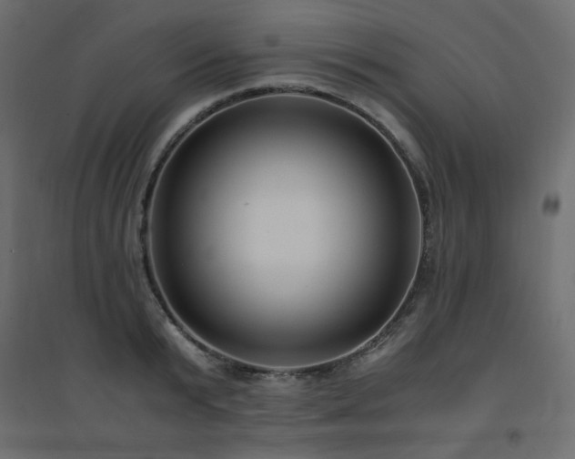 X0000094910799200711291254