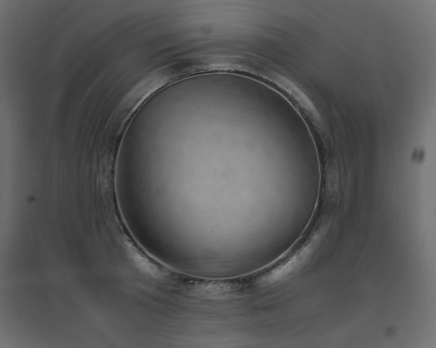 X0000094910801200711291254