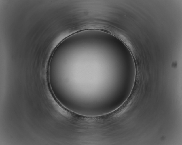 X0000094910803200711291254
