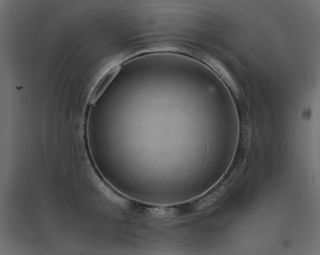 X0000094910805200711291254