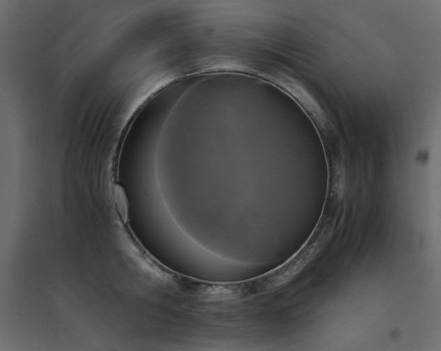 X0000094910806200711291254