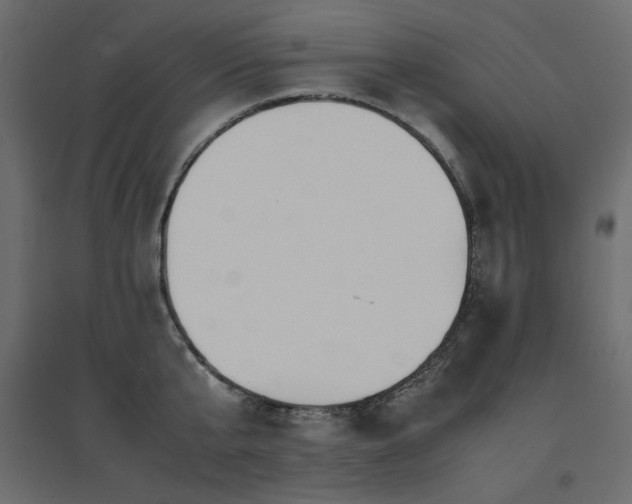 X0000094910807200711291254