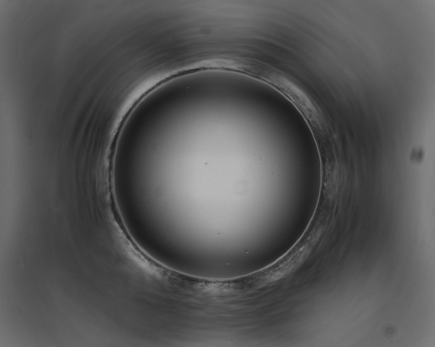 X0000094910808200711291254