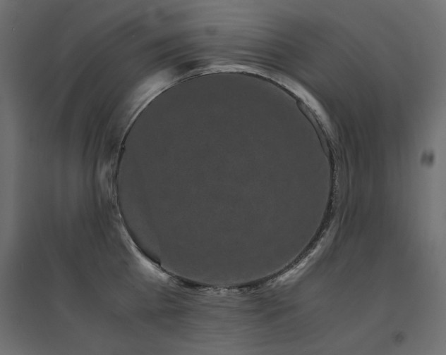 X0000094910809200711291254