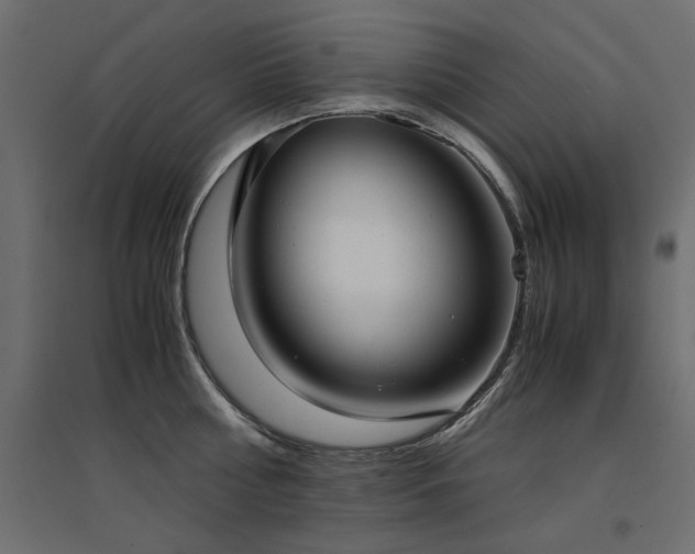 X0000094910810200711291254