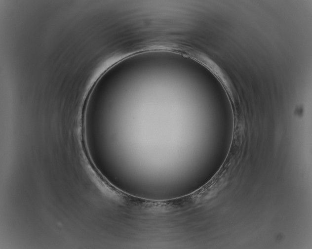 X0000094910811200711291254