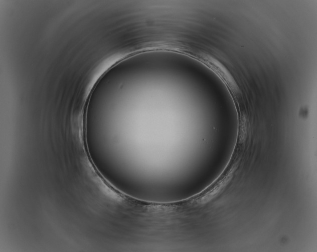 X0000094910812200711291254