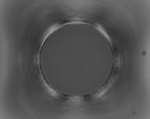 X0000094910813200711291254