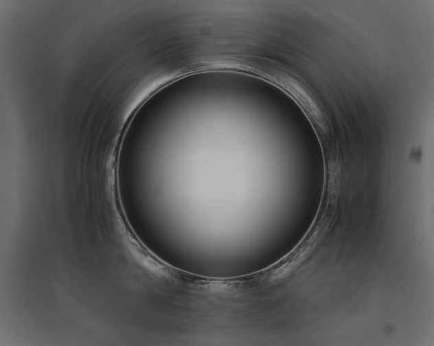 X0000094910814200711291254