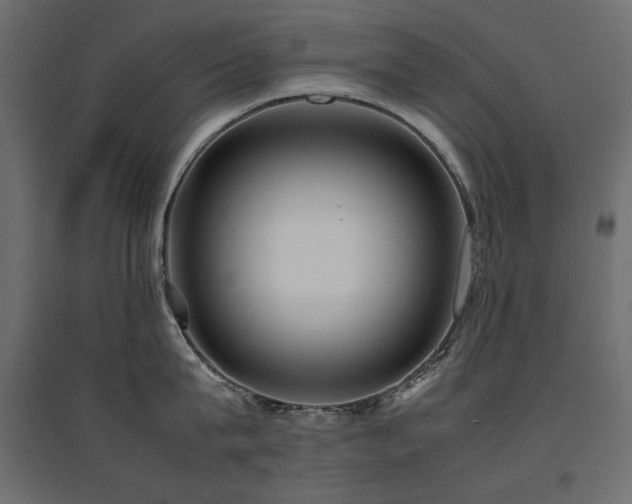 X0000094910815200711291254