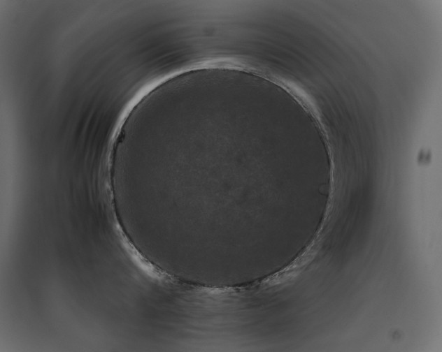 X0000094910816200711291254