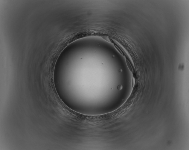 X0000094910817200711291253