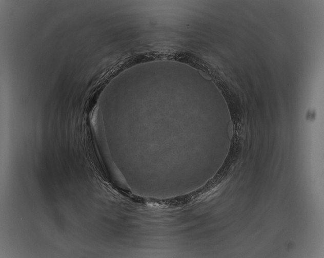 X0000094910818200711291253