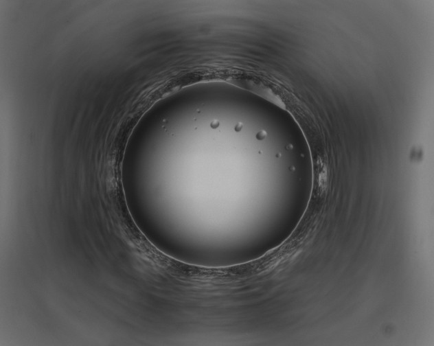 X0000094910819200711291253
