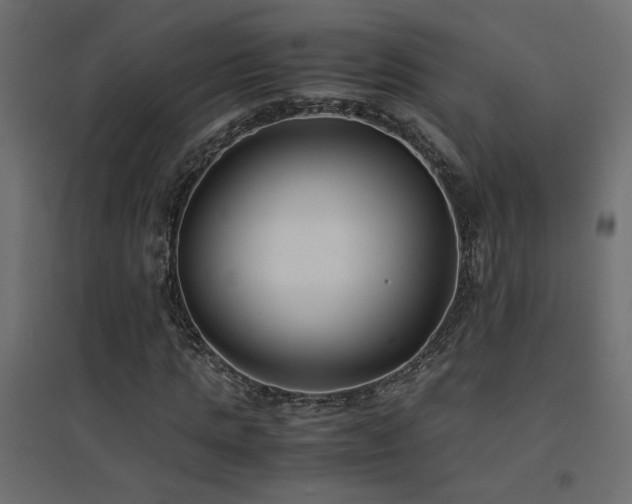 X0000094910821200711291253