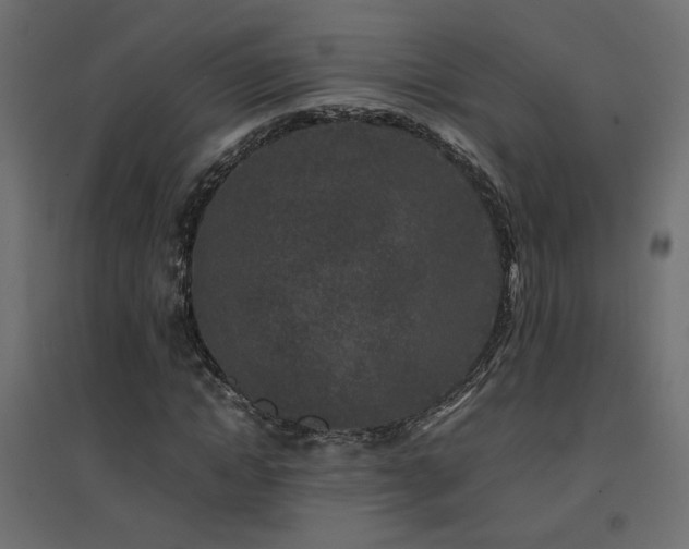 X0000094910822200711291253