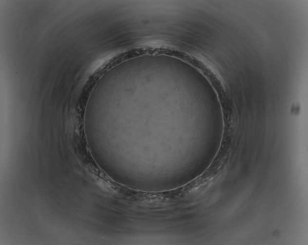 X0000094910823200711291253