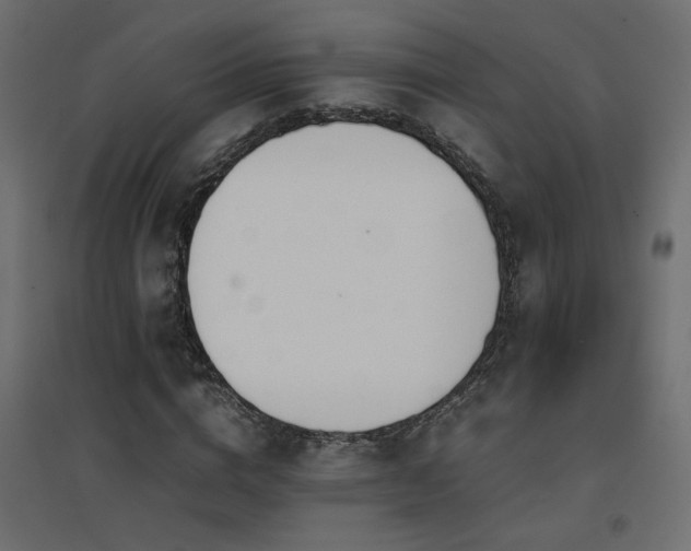 X0000094910824200711291253
