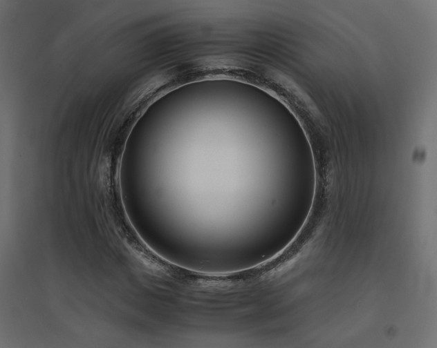 X0000094910825200711291253