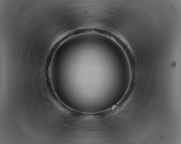 X0000094910826200711291253