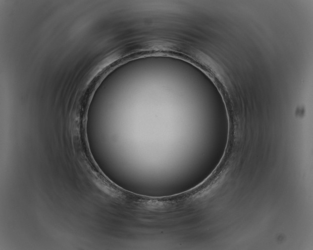 X0000094910827200711291253