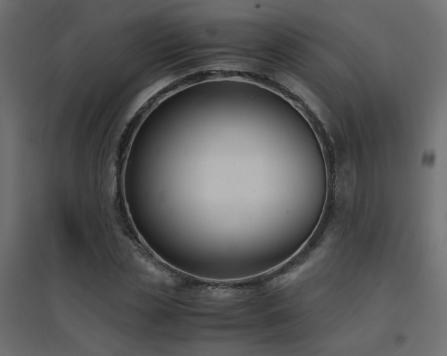 X0000094910829200711291253