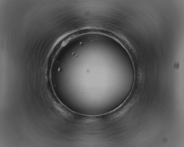 X0000094910830200711291253