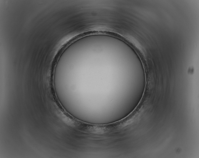 X0000094910831200711291253