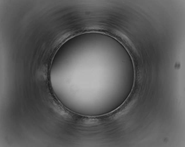 X0000094910833200711291253