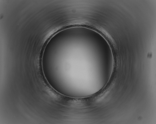X0000094910834200711291253