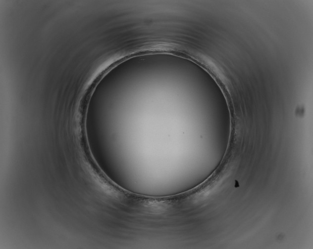 X0000094910835200711291253