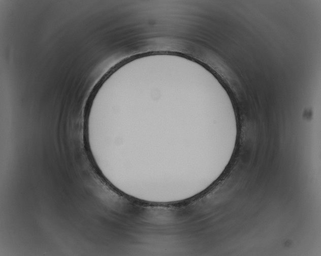 X0000094910836200711291253