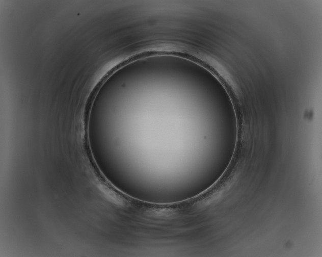 X0000094910837200711291253