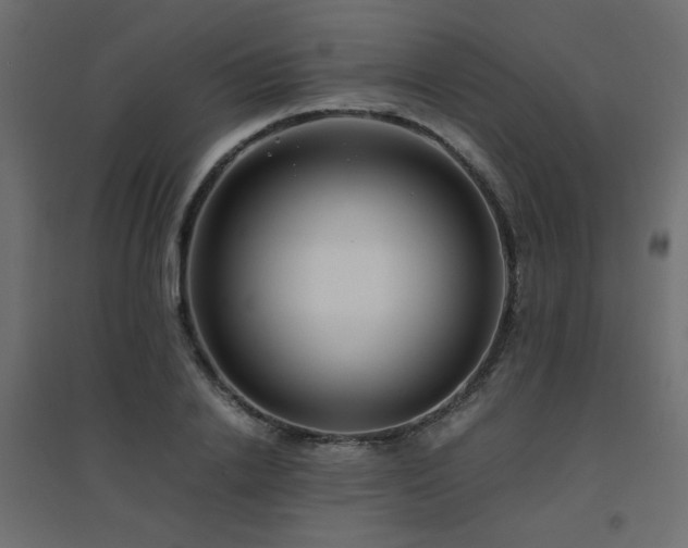 X0000094910838200711291253