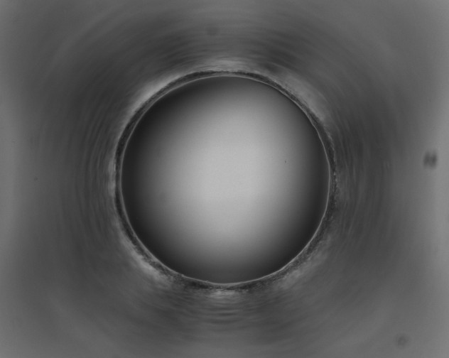 X0000094910839200711291253