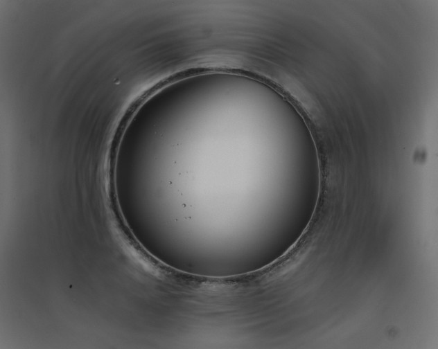 X0000094910840200711291253