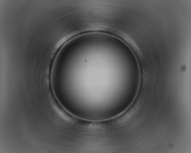 X0000094910842200711291253
