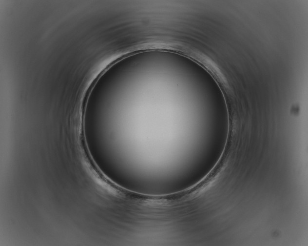X0000094910844200711291253