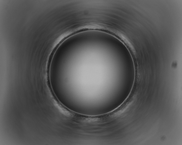 X0000094910845200711291253