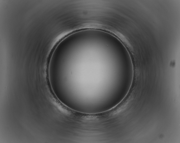 X0000094910846200711291253