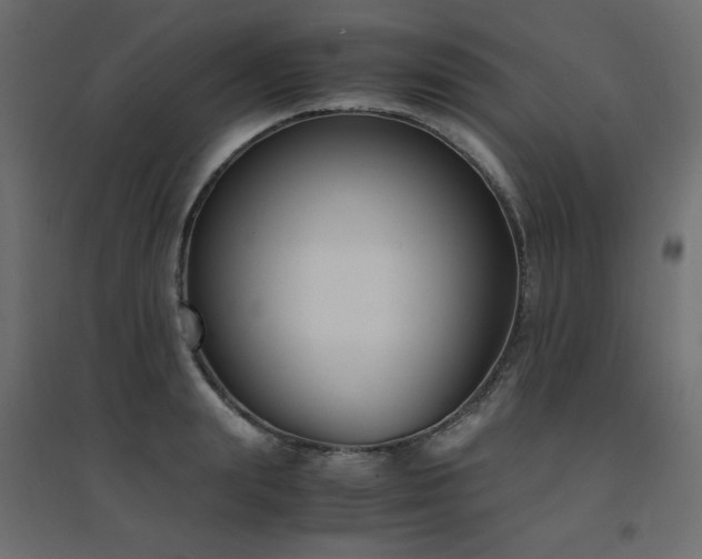 X0000094910847200711291253