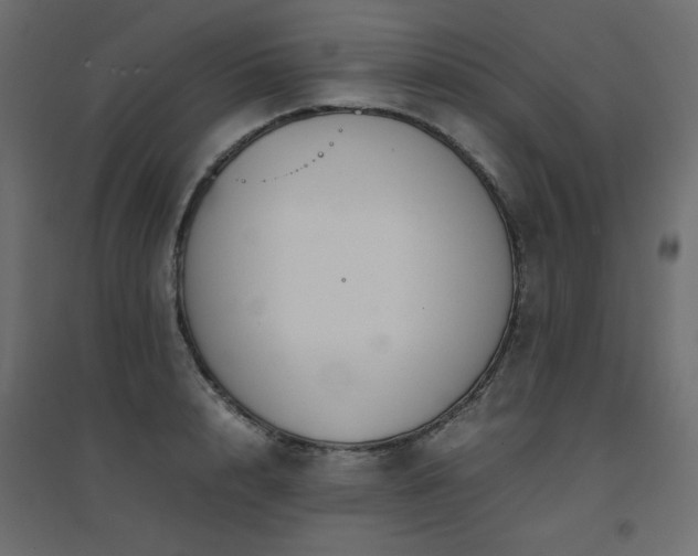X0000094910848200711291253