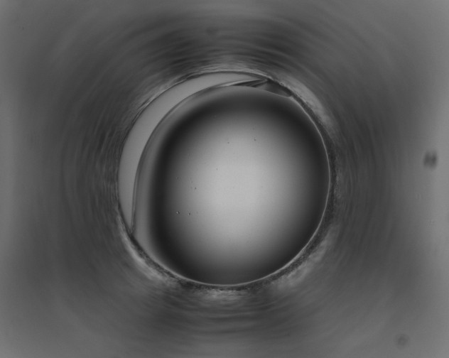 X0000094910849200711291254