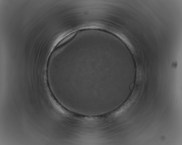 X0000094910850200711291254
