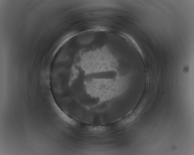 X0000094910851200711291254