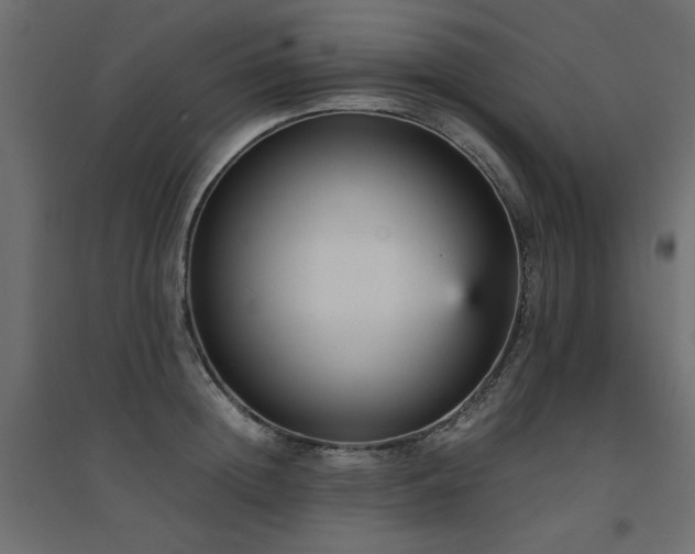 X0000094910852200711291254