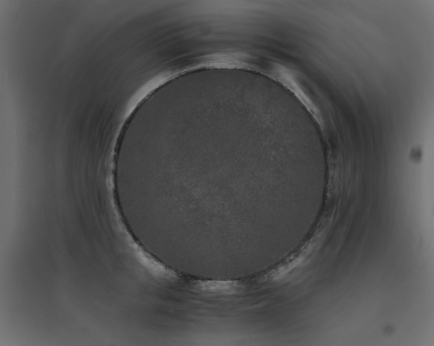 X0000094910853200711291254