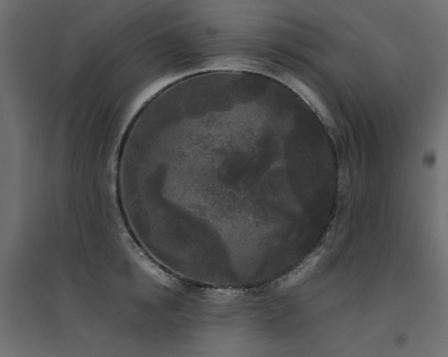 X0000094910854200711291254
