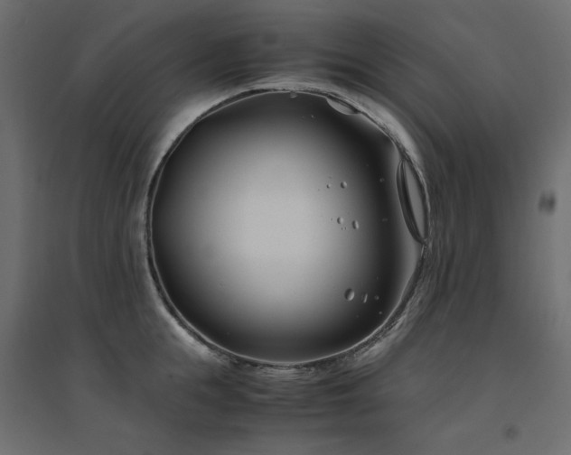 X0000094910855200711291254