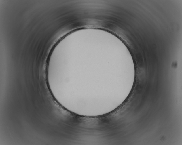 X0000094910856200711291254